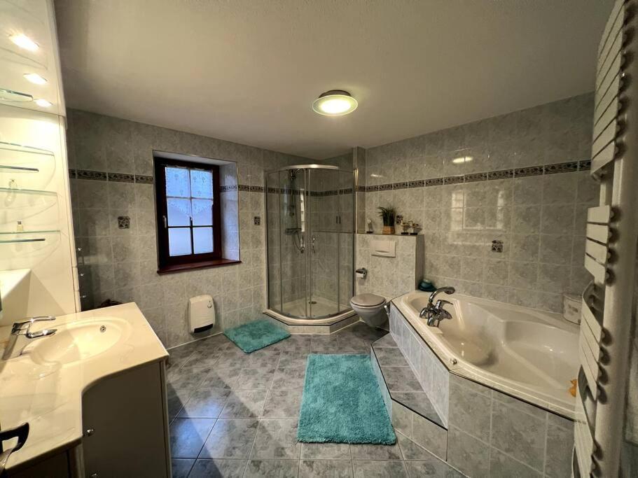 Gite La Maison De Jules Muntzenheim Екстер'єр фото