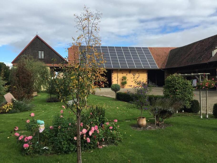 Gite La Maison De Jules Muntzenheim Екстер'єр фото
