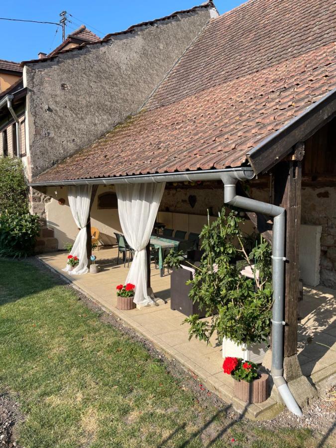 Gite La Maison De Jules Muntzenheim Екстер'єр фото