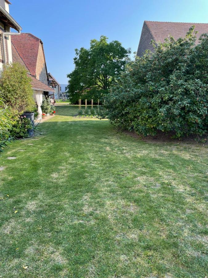 Gite La Maison De Jules Muntzenheim Екстер'єр фото