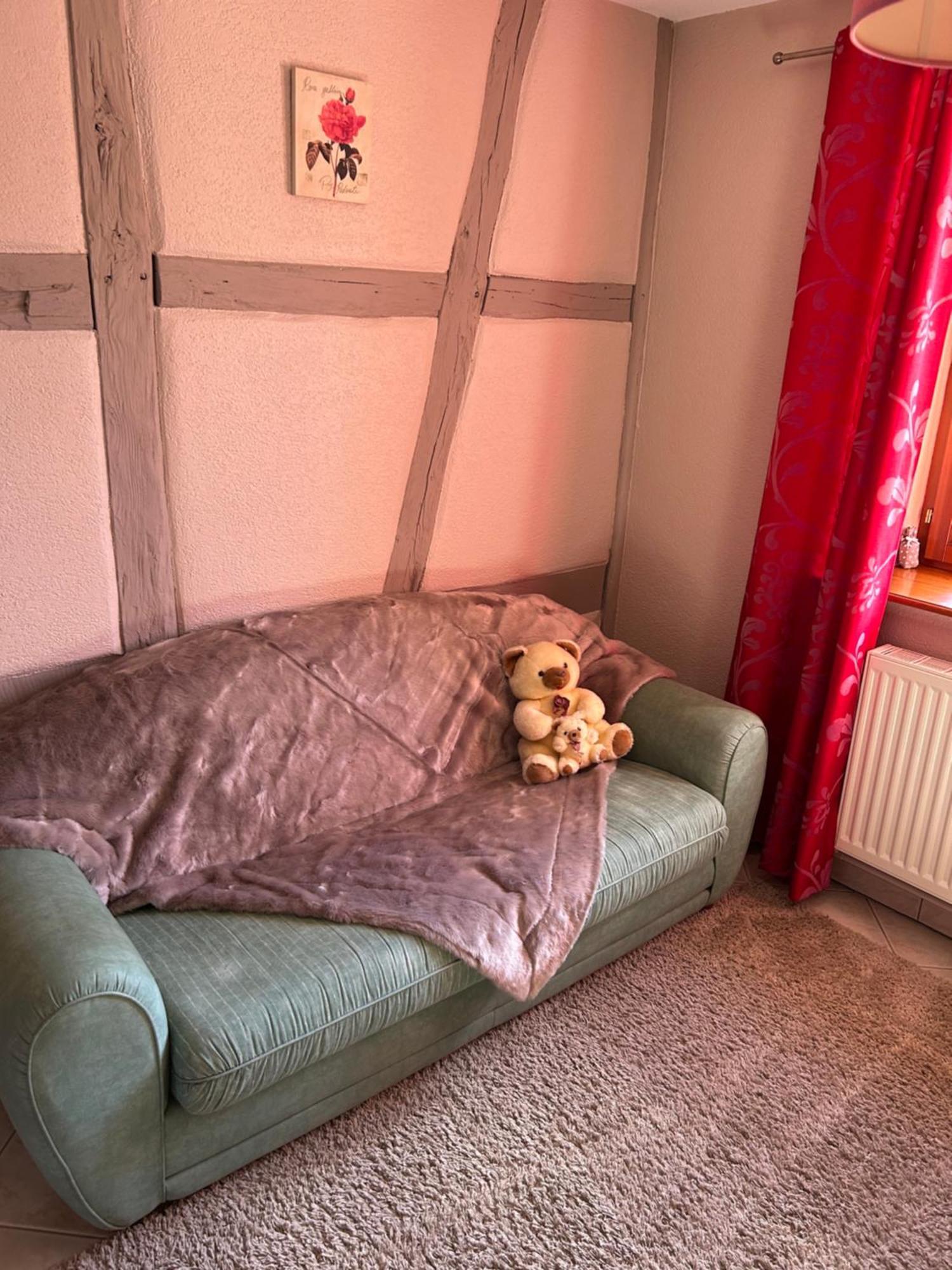 Gite La Maison De Jules Muntzenheim Екстер'єр фото